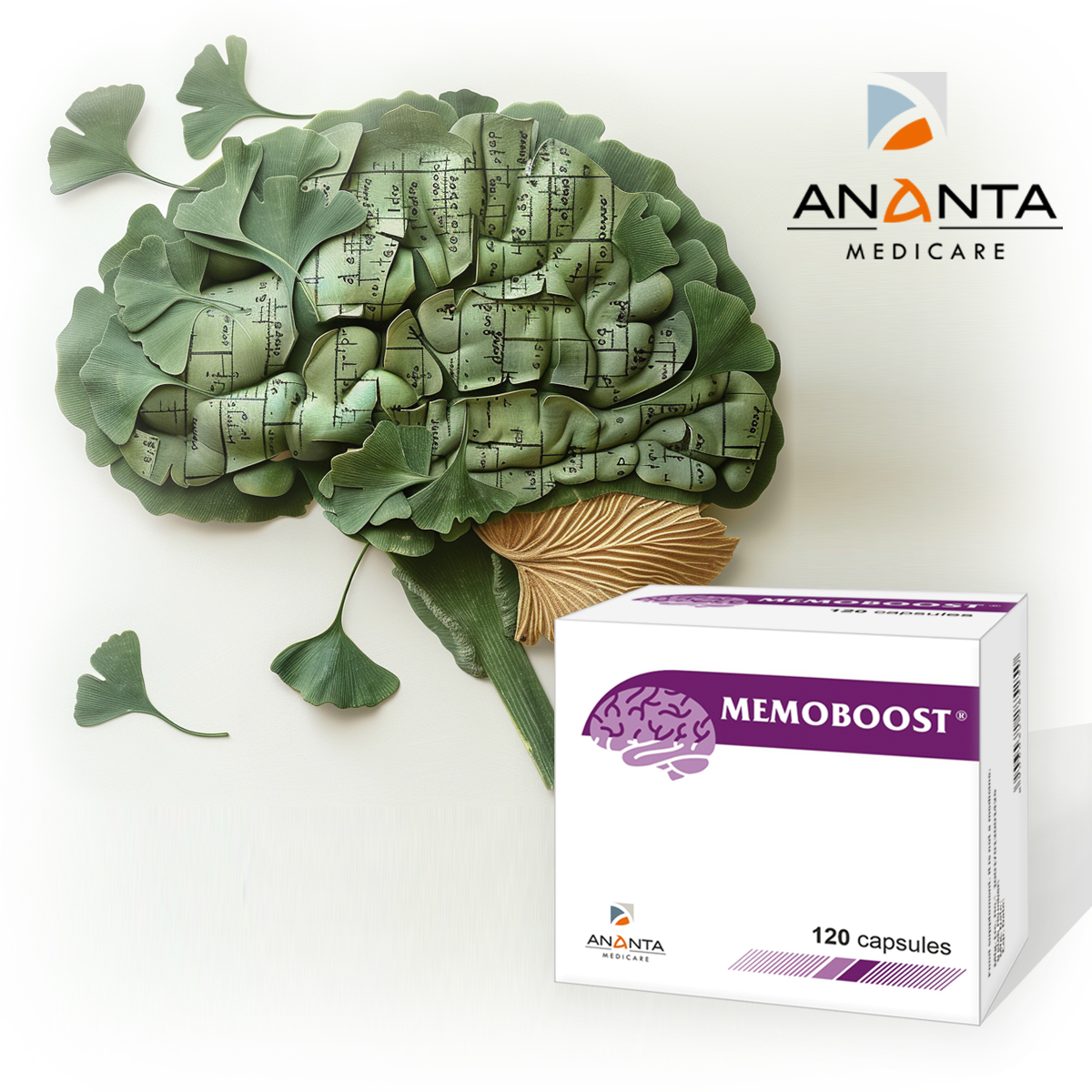 Memobust Packaging